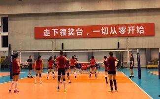 集训爆料女排视频大全最新,最新视频大全精彩瞬间回顾 第2张 集训爆料女排视频大全最新,最新视频大全精彩瞬间回顾 第2张