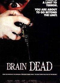 脑在线观看,探索大脑奥秘的数字之旅